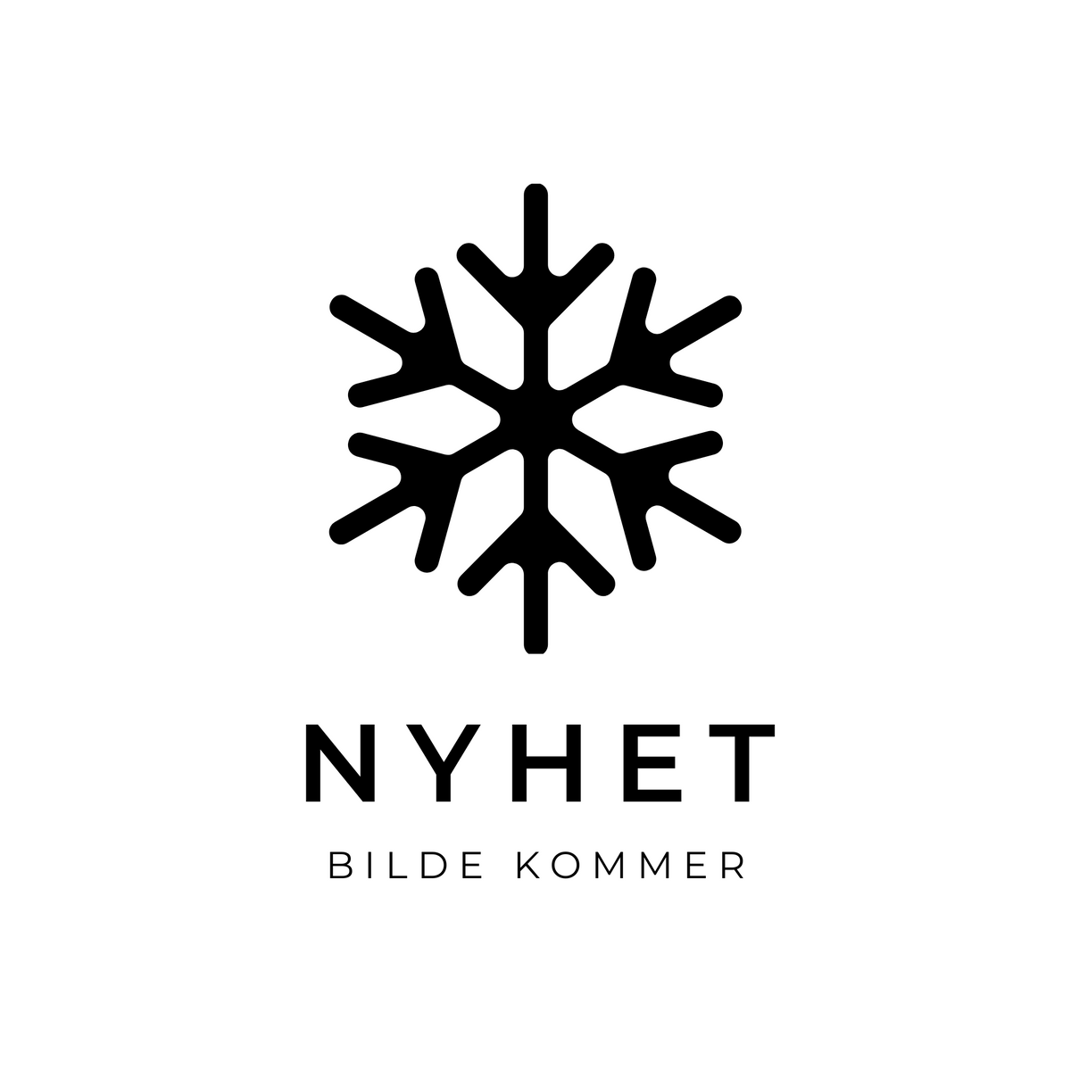 Gjenutsending av ordre